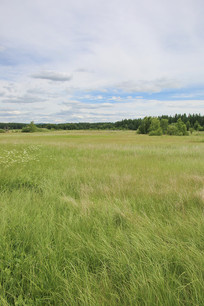 ���Ǻ�ʪ�ع�԰��̲