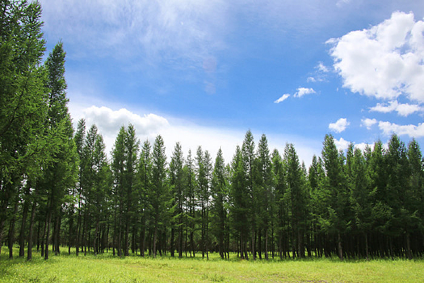 �˹��ֳ��ɰ�����