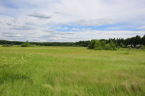 �����Ӳ�ԭʪ��