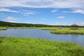 ���������Ǻ���԰����