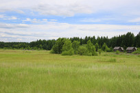 ������ʪ�زݳ�