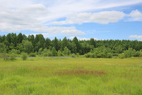 ������ʪ�ع�԰����