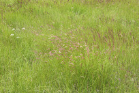 ʪ�ع�԰����ݵ�