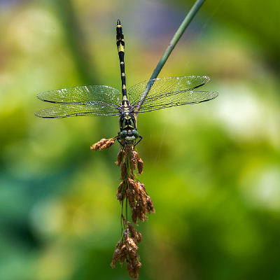 ��������Ϣ