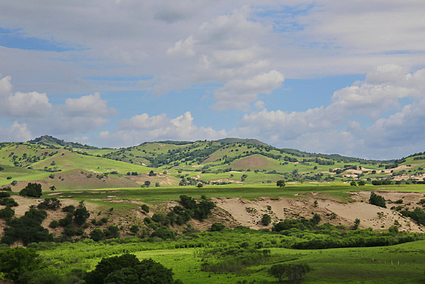 ��ԭ���¾�ɫ