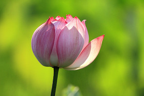 ��˵��˵�ĺɻ� 