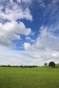 ��������µĲ�ԭ����