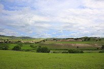 ������ͳ��ԭ���µ�ò