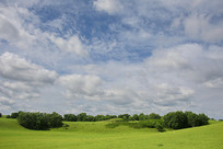 ������ͳ��ԭɭ�ֵ�ò