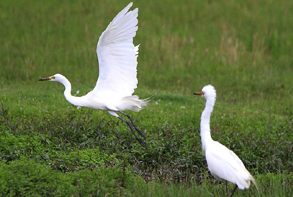 ��ȸ���ɵ����