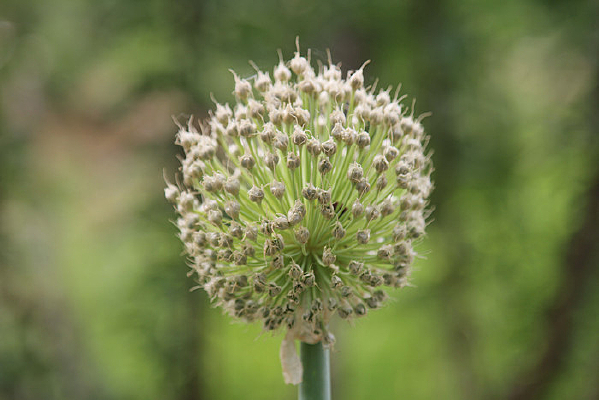 ��л�������