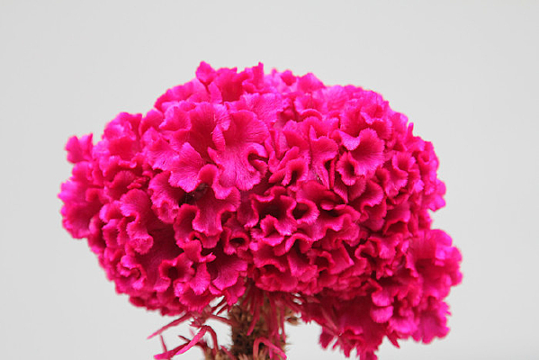 ʢ���ļ��ڻ�����