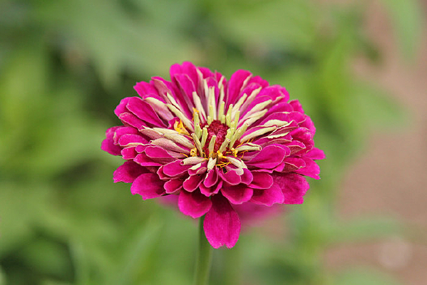 ���پջ��ﻨ��