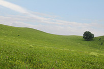 ��ԭ���µ�С��