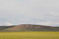 ��ԭ�����Ͳ˻���Ƭ