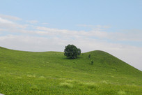 ��ԭɽ���ϵ�С��