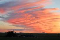 ��ԭ��ϼ�µ�����ľ��