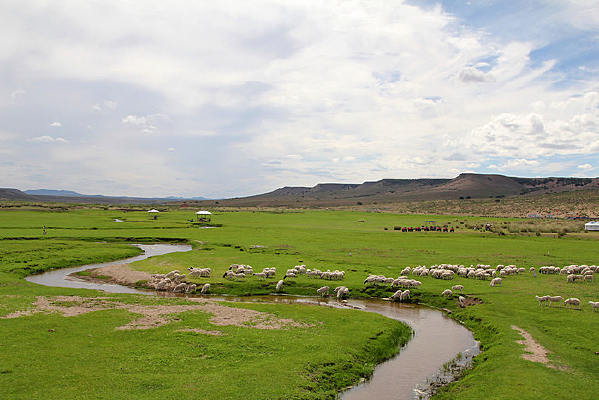 ��ԭԭ���Ϸ�����Ⱥ