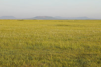 ������һ���޼ʵĴ��ԭ