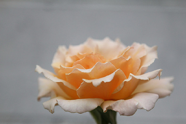 ����ɫ���¼�����