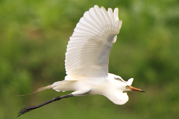 ����չ������