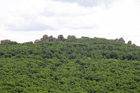 �������ʯ��