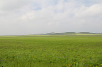 �����ޱߵĲ�ԭ����