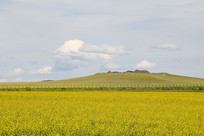 ��ɽƫҰ���Ͳ˻�