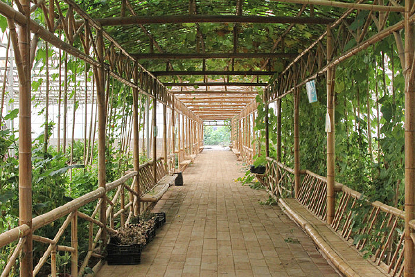 ũ��ׯ԰����ͨ��