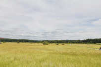 �����Ӳ�ԭ�ݵ�