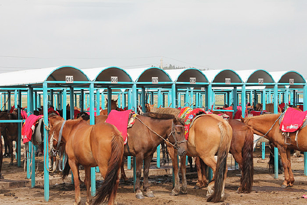 ����������ƥ