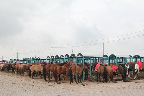 ����������Ⱥ