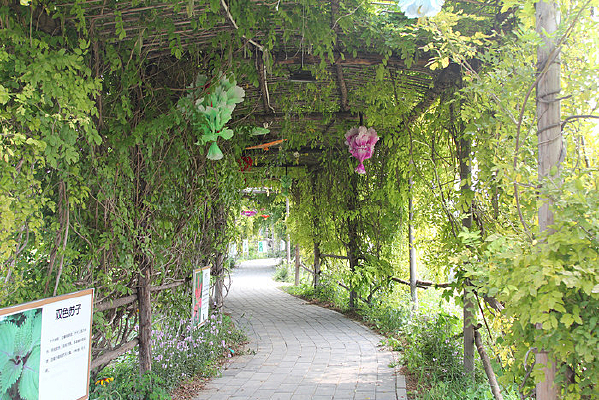 ���ӻ���ͨ��