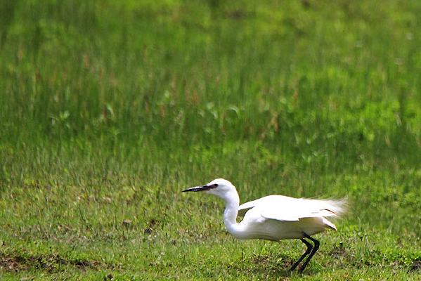 ���ɵ����