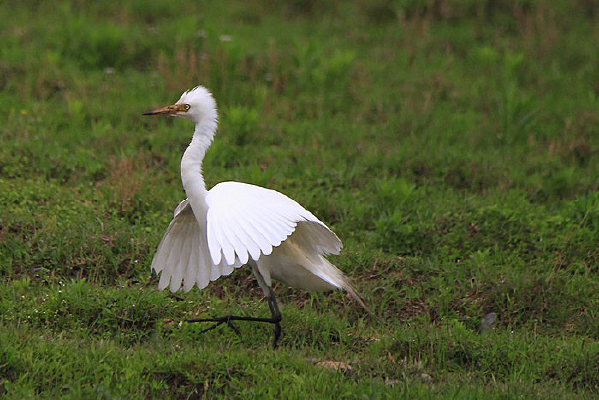 ��ë���������