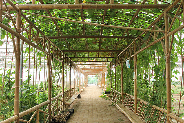 ��໨������ͨ��