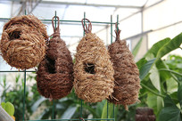 �ݱ�������