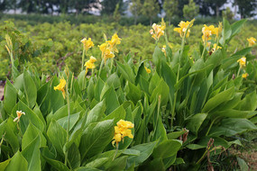 �Ž�����