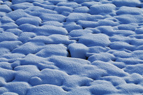 ����ѩ��ѩ��