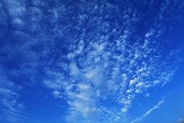 �����ƾ�