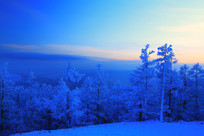 Ϧ���µ��ֺ�ѩԭ 