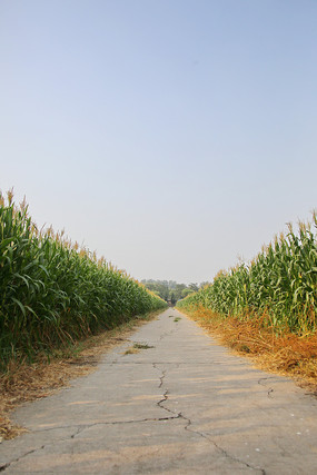 ����ׯ�����