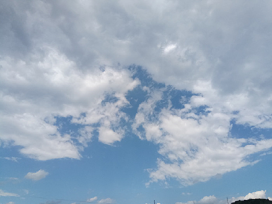 �����µ�����