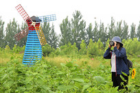 ��糵��԰����Ӱʦ