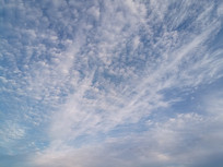 �������µĸ���