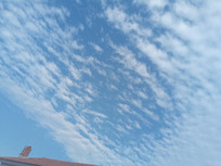 �����ϵĵ�����