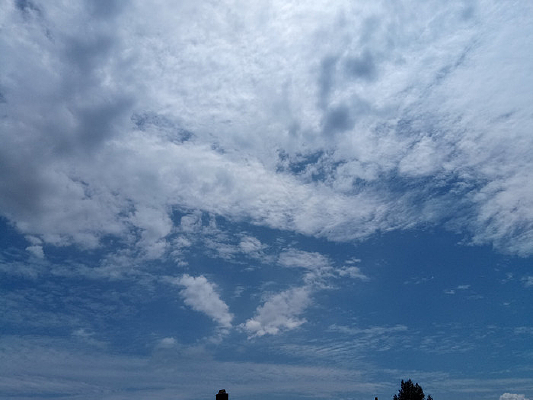 ��Ʋ����