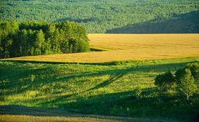 ��ɽ����