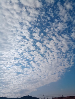 ɽ����һƬ������