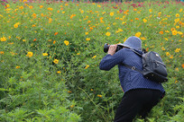 ��Ӱʦ�ڽ�յ��������